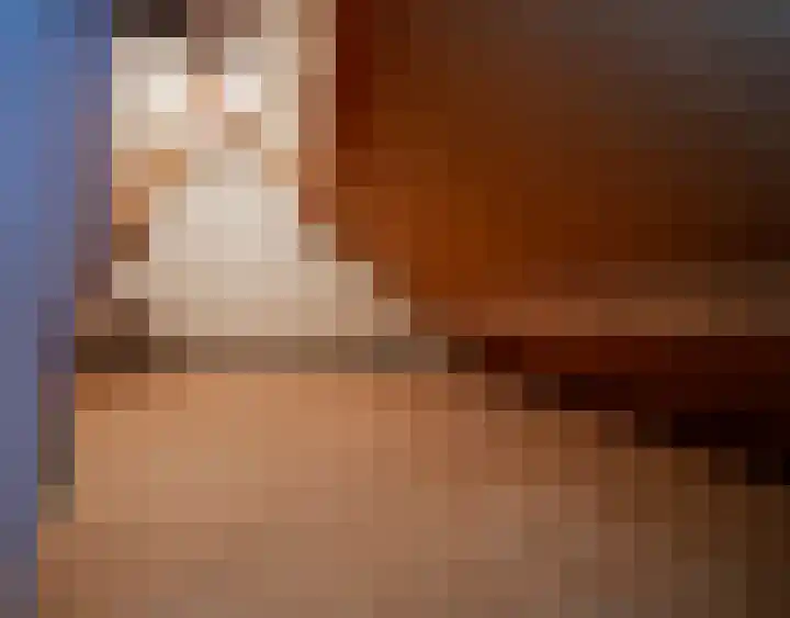 Akkerroosstraat 6 Bakel thumbnail 35