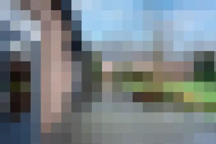 Akkerroosstraat 6 Bakel thumbnail 38