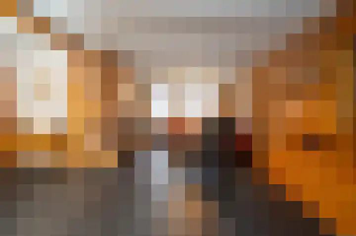 Akkerroosstraat 6 Bakel thumbnail 4