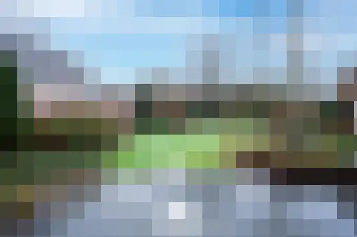 Akkerroosstraat 6 Bakel thumbnail 45