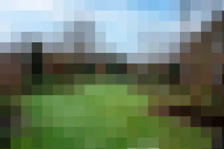 Akkerroosstraat 6 Bakel thumbnail 46