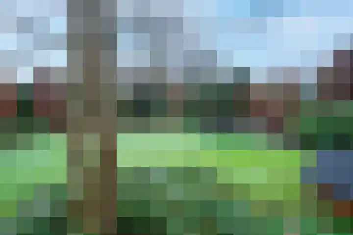 Akkerroosstraat 6 Bakel thumbnail 47