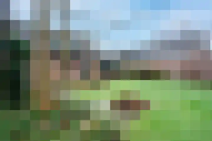 Akkerroosstraat 6 Bakel thumbnail 48
