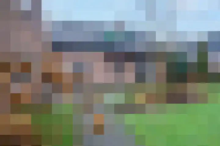 Akkerroosstraat 6 Bakel thumbnail 50