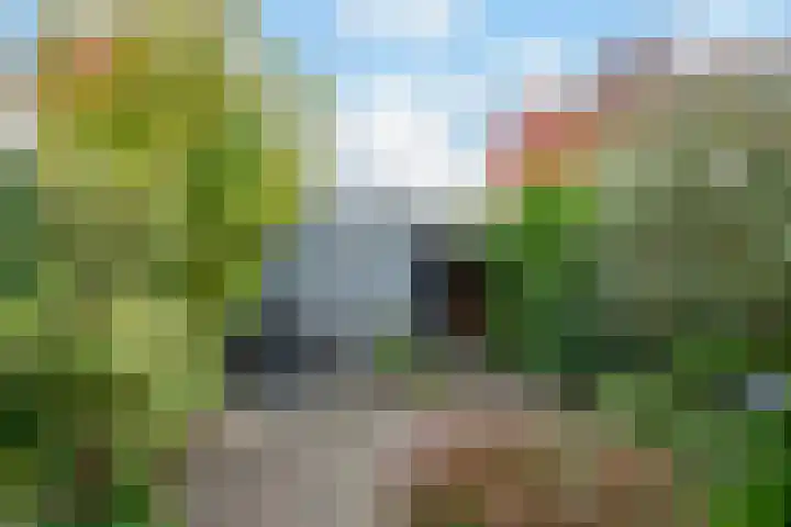 Akkersleep 6 Malden thumbnail 26