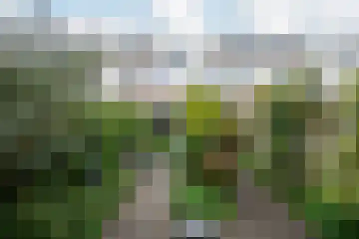 Akkersleep 6 Malden thumbnail 27