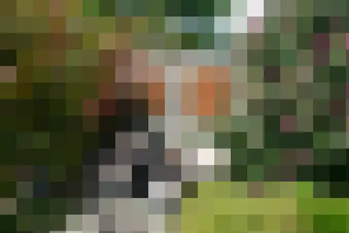 Akkersleep 6 Malden thumbnail 30
