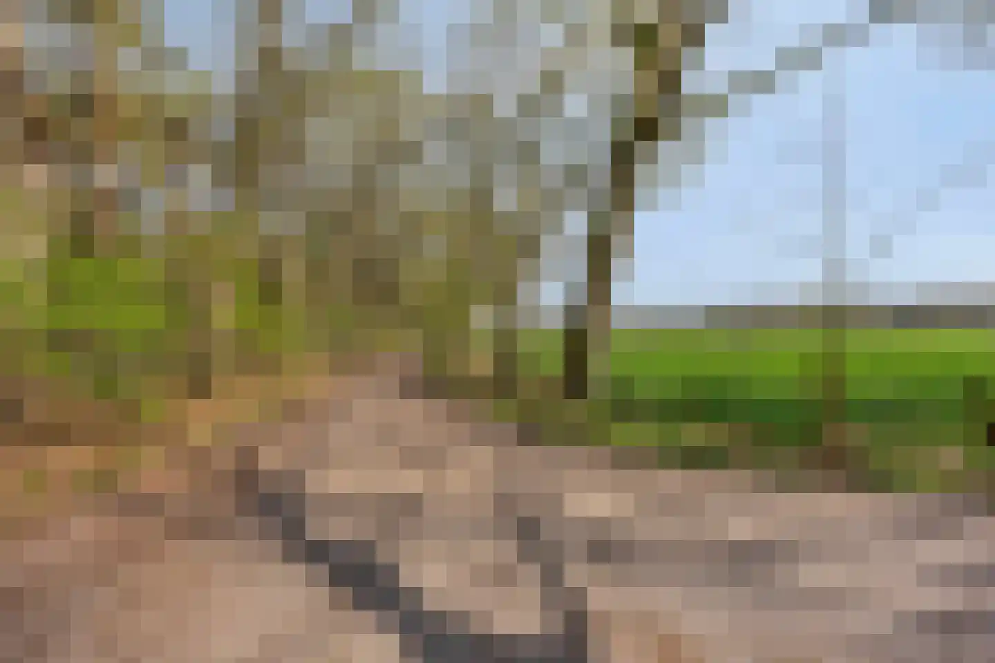 Akkerstraat 1 A Nuland thumbnail 46