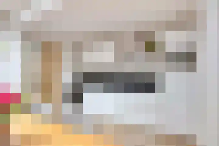 Akkerstraat 109 Tilburg thumbnail 11