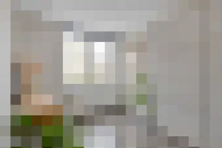 Akkerstraat 109 Tilburg thumbnail 21