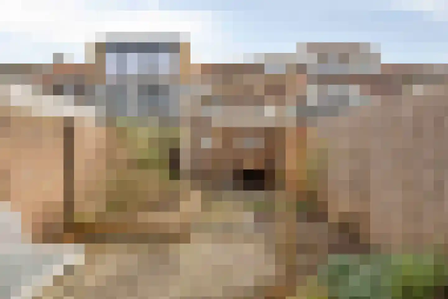 Akkerstraat 109 Tilburg thumbnail 29