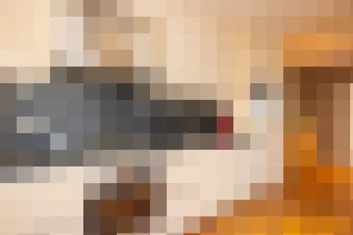 Akkerstraat 11 Sittard thumbnail 14