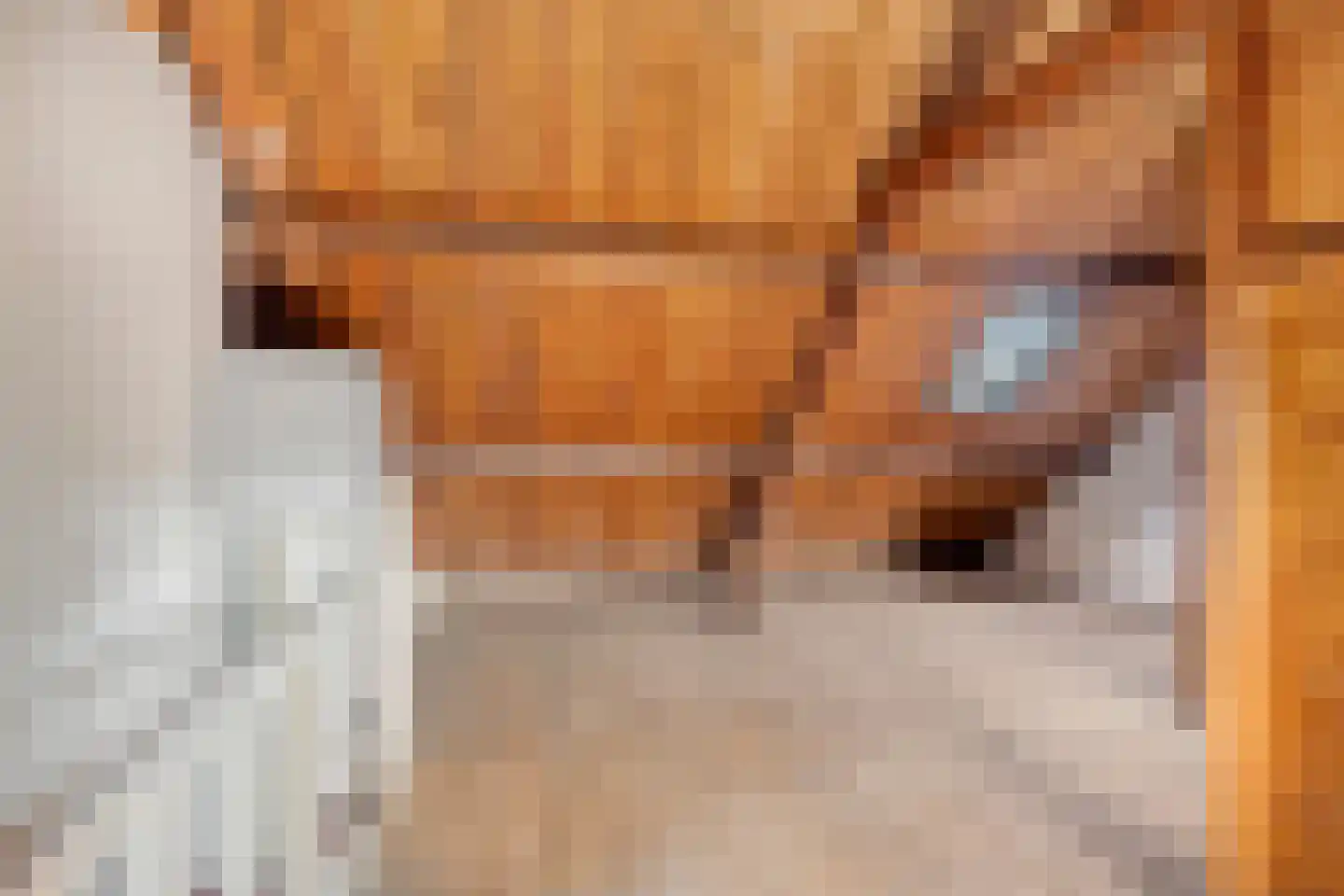 Akkerstraat 12 Eindhoven thumbnail 27