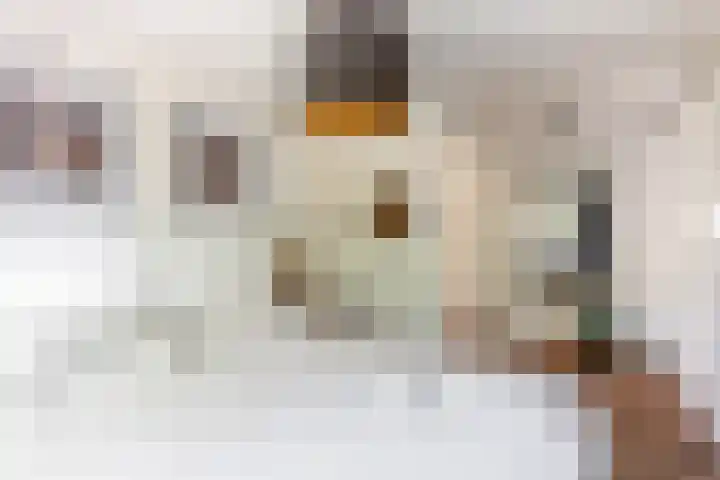 Akkerstraat 12 Vlijmen thumbnail 19