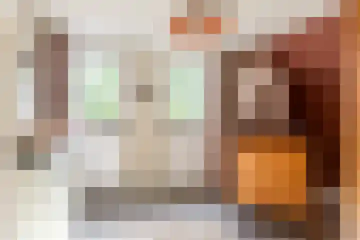 Akkerstraat 12 Vlijmen thumbnail 26