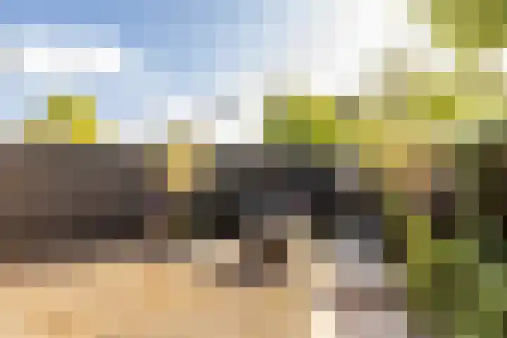 Akkerstraat 12 Vlijmen thumbnail 37