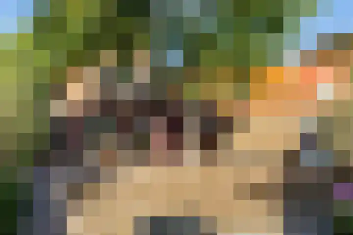 Akkerstraat 12 Vlijmen thumbnail 38