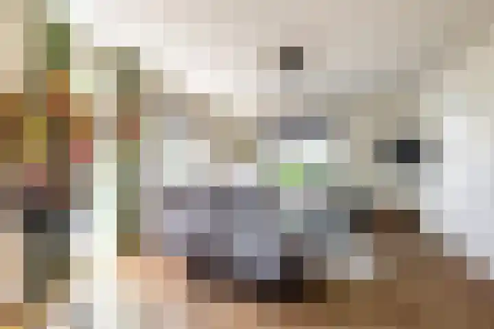 Akkerstraat 12 Vlijmen thumbnail 4