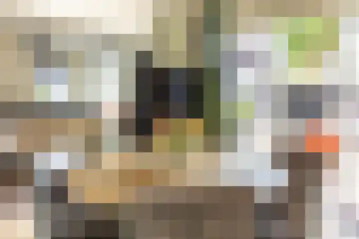 Akkerstraat 12 Vlijmen thumbnail 7