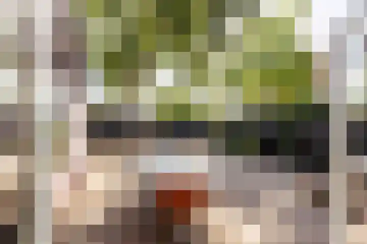 Akkerstraat 12 Vlijmen thumbnail 8