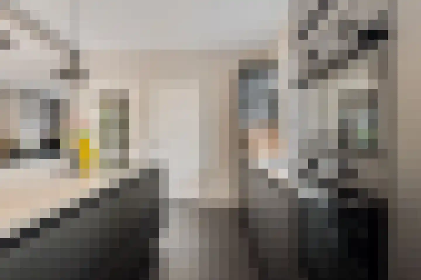 Akkerstraat 13 Schijndel thumbnail 7