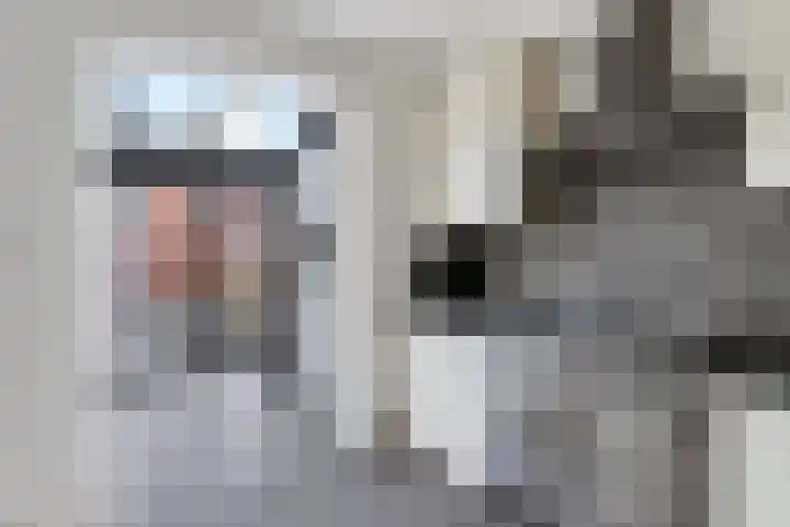 Akkerstraat 14 Didam thumbnail 10