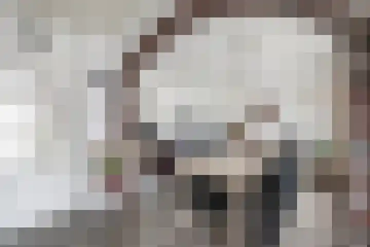 Akkerstraat 15 Didam thumbnail 5