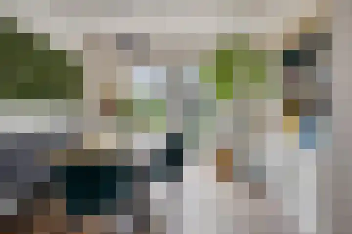 Akkerstraat 15 Zutphen thumbnail 6