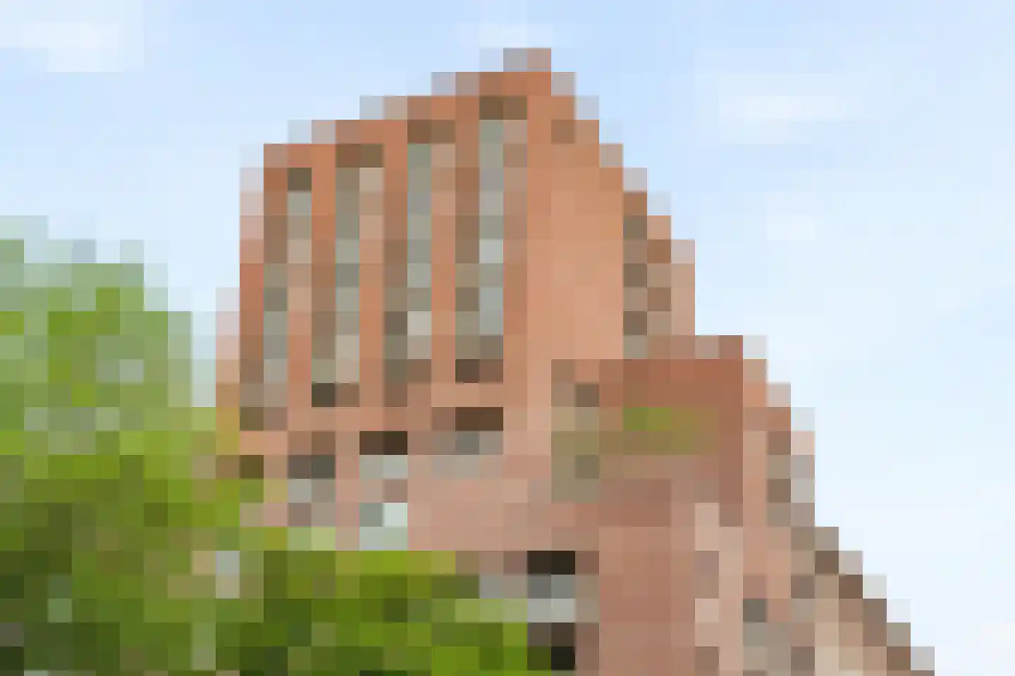 Akkerstraat 151 Breda thumbnail 46