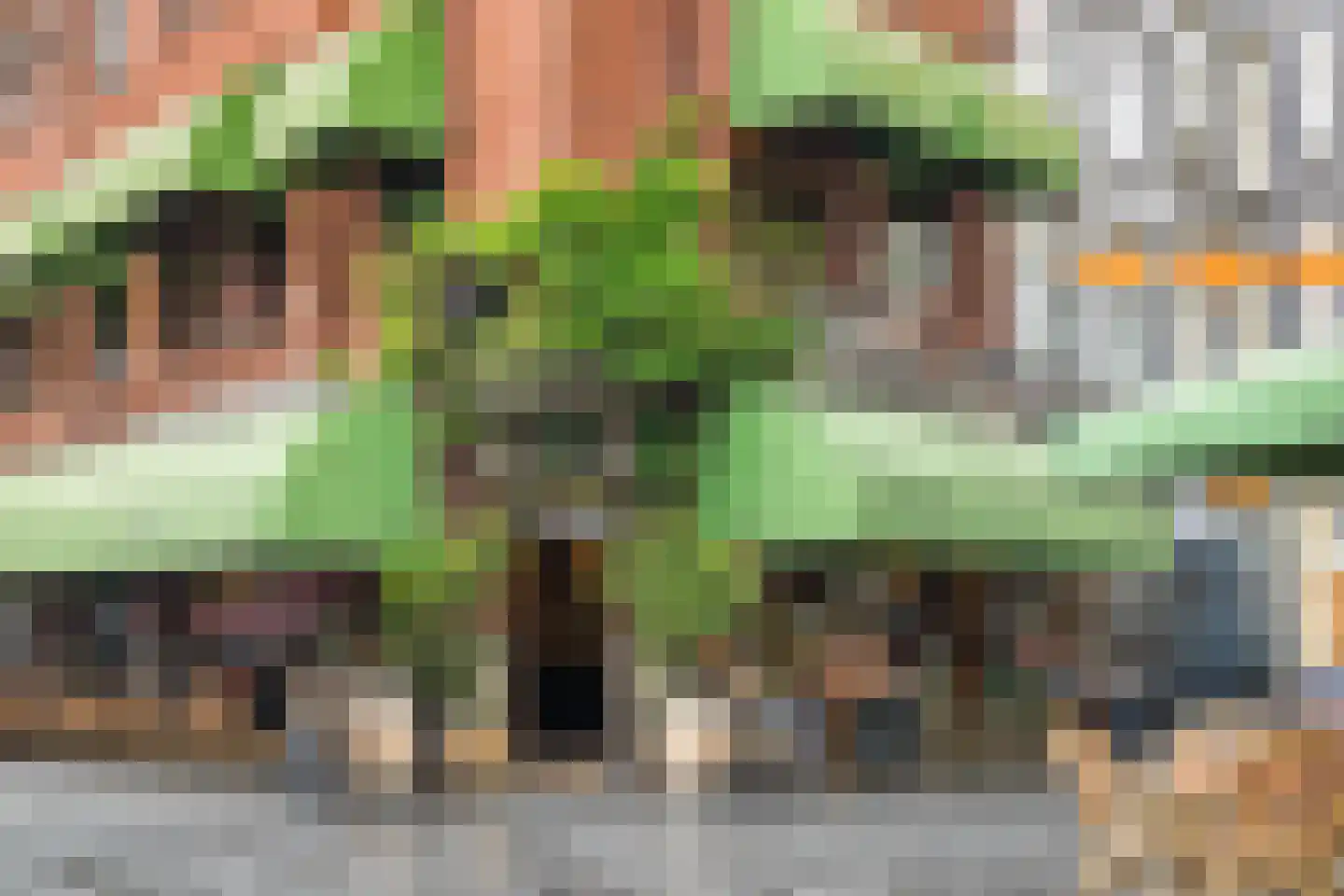 Akkerstraat 151 Breda thumbnail 63