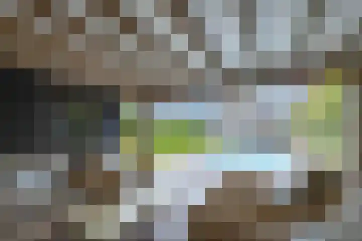 Akkerstraat 16 Vlijmen thumbnail 37