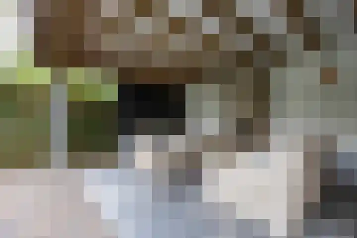 Akkerstraat 16 Vlijmen thumbnail 38