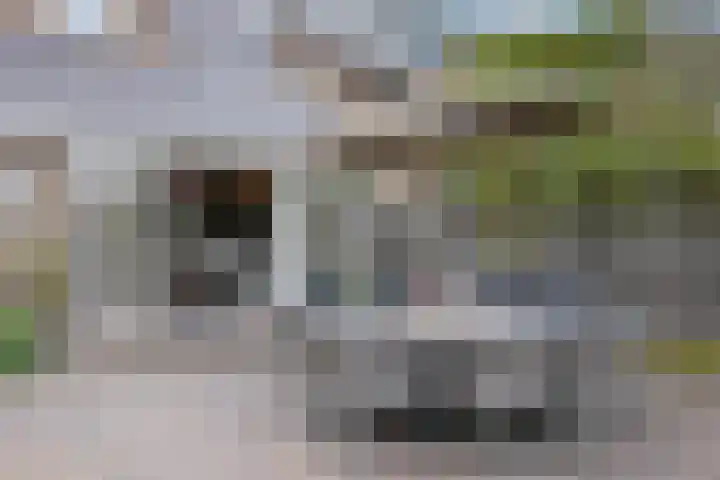 Akkerstraat 16 Vlijmen thumbnail 39