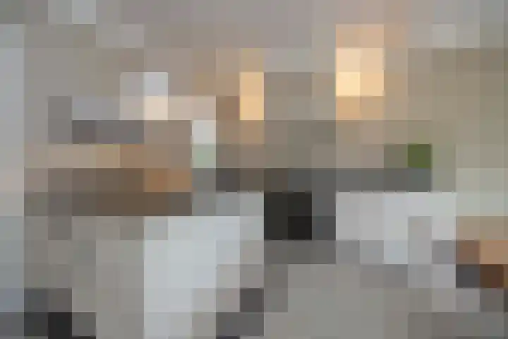 Akkerstraat 16 Vlijmen thumbnail 4