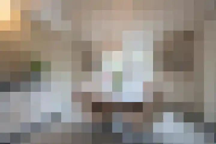 Akkerstraat 16 Vlijmen thumbnail 7