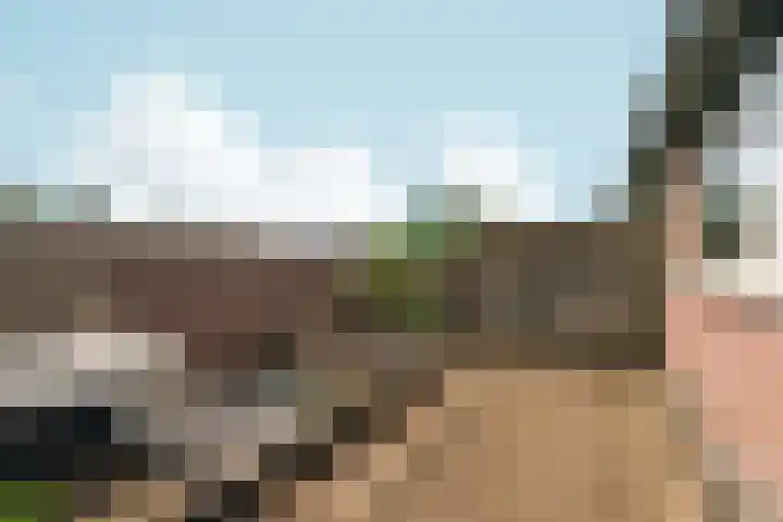 Akkerstraat 17 Dieren thumbnail 17