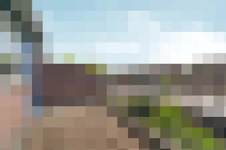 Akkerstraat 17 Dieren thumbnail 18