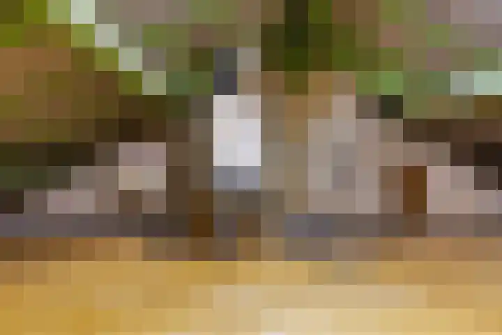 Akkerstraat 17 Dieren thumbnail 23