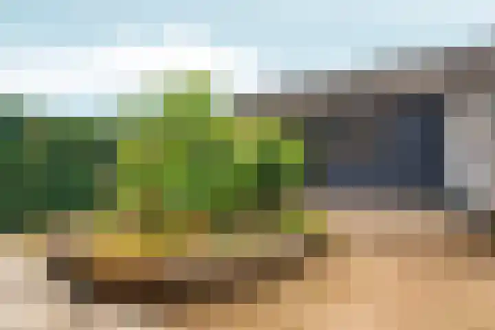 Akkerstraat 17 Dieren thumbnail 24
