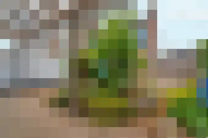 Akkerstraat 17 Dieren thumbnail 25