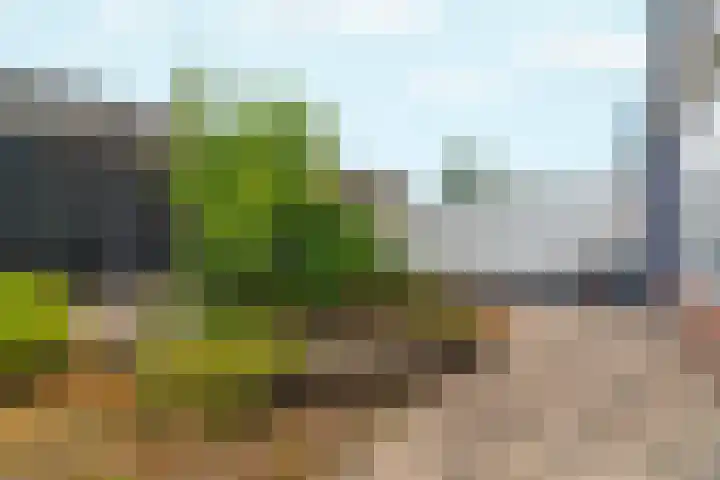 Akkerstraat 17 Dieren thumbnail 26