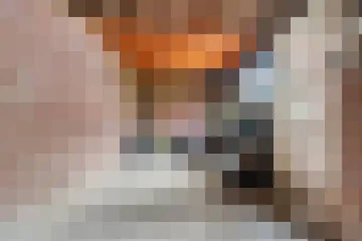Akkerstraat 17 Dieren thumbnail 28