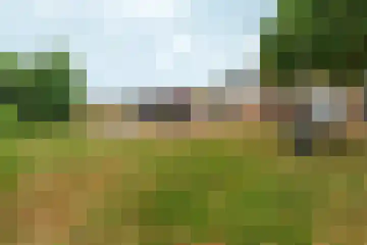 Akkerstraat 17 Dieren thumbnail 30