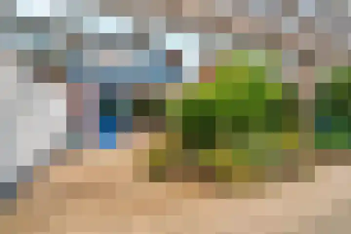 Akkerstraat 17 Dieren thumbnail 5
