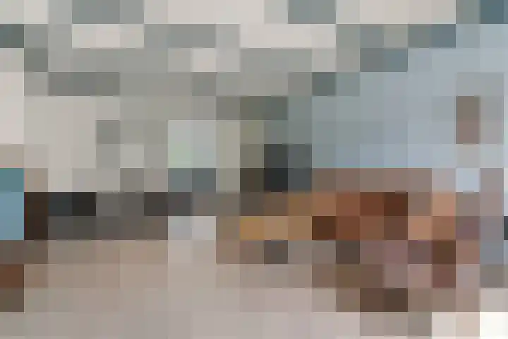 Akkerstraat 17 Dieren thumbnail 8