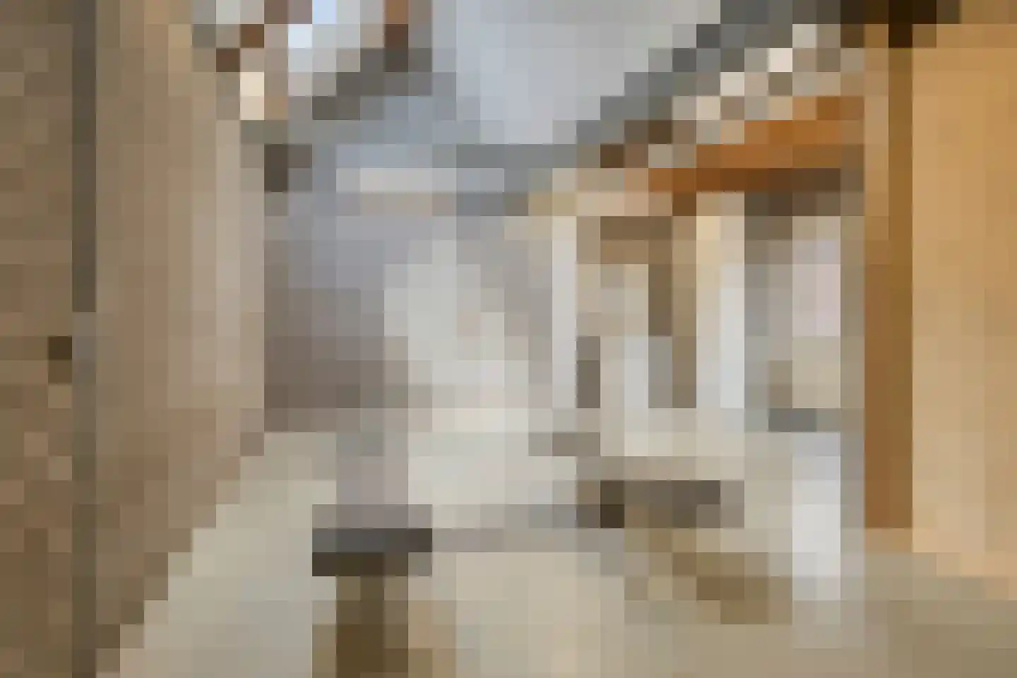 Akkerstraat 17 Nuland thumbnail 4