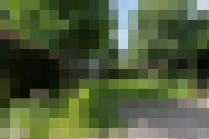 Akkerstraat 18 Hardinxveld-Giessendam thumbnail 31