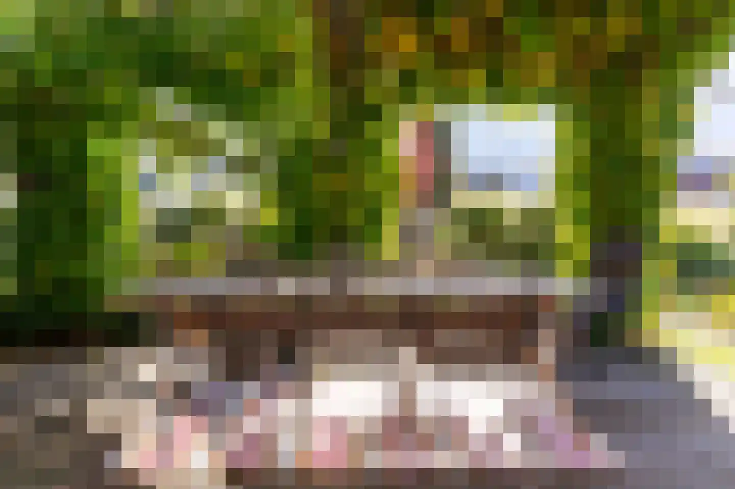 Akkerstraat 18 Hardinxveld-Giessendam thumbnail 33