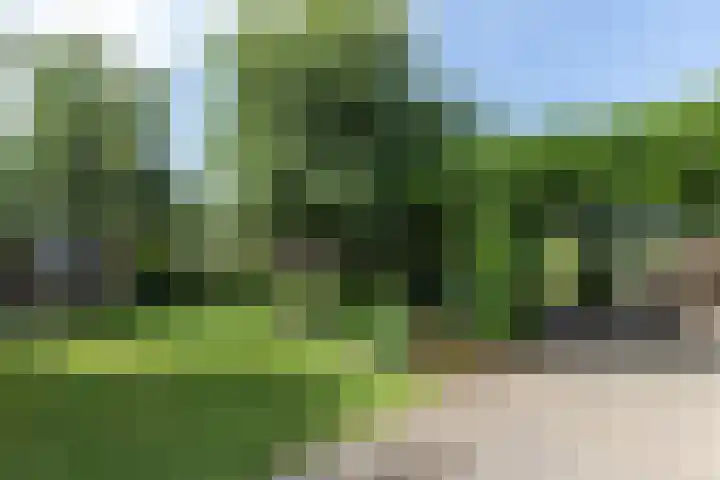 Akkerstraat 18 Hardinxveld-Giessendam thumbnail 33
