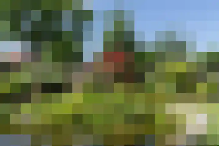 Akkerstraat 18 Hardinxveld-Giessendam thumbnail 38